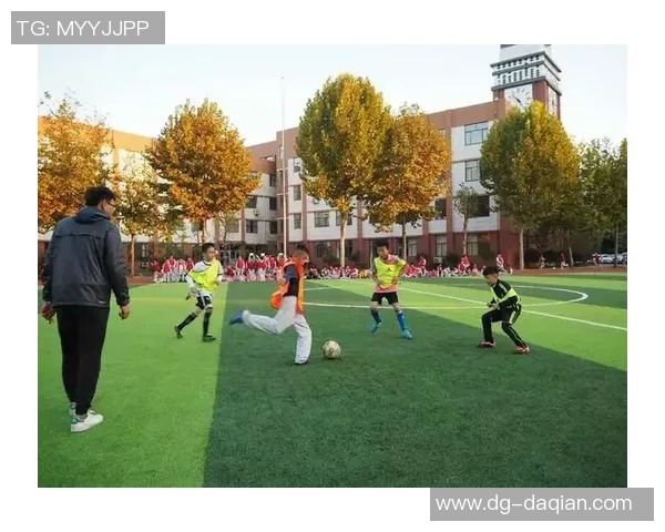 足球星达带你畅游绿茵世界探索激情与梦想交织的无限魅力